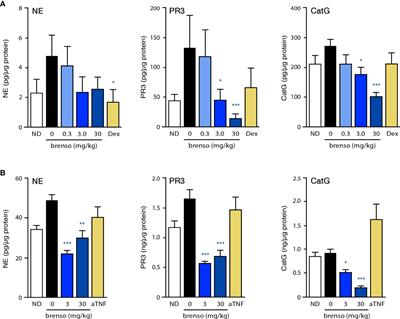 Brensocatib (an oral, reversible inhibitor of dipeptidyl peptidase-1) attenuates disease progression in two animal models of rheumatoid arthritis